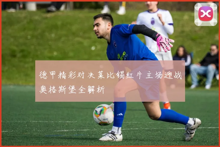 德甲精彩对决莱比锡红牛主场迎战奥格斯堡全解析