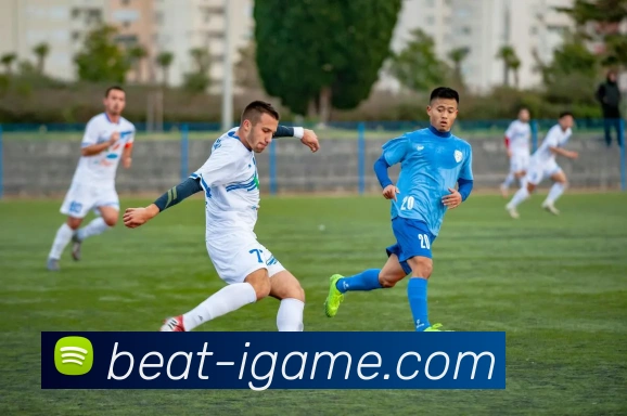 爱游戏品牌故事